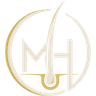 Model Haarprothese
